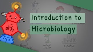 Introduction To Microbiology [upl. by Tristan]