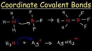 What is a Coordinate Covalent Bond [upl. by Isolda]