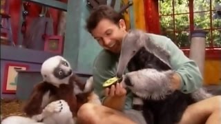 Zoboomafoo Cap 63 quotOsos Hormiguerosquot [upl. by Elephus]