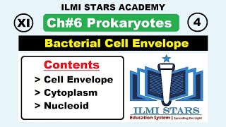 Bacterial Cell Envelope Class 11 Biology Chapter 6 Prokaryotes [upl. by Taffy]