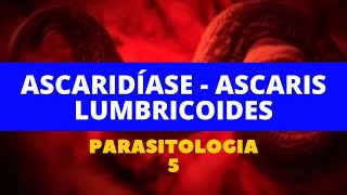 ASCARIDÍASE  ASCARIS LUMBRICOIDES  PARASITOLOGIA 5 [upl. by Janina948]