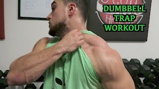 Intense 5 Minute Dumbbell Trap Workout [upl. by Hagep966]