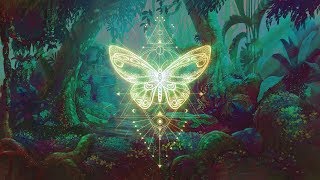 🦋THE BUTTERFLY EFFECT ⁂ Elevate your Vibration ⁂ Positive Aura Cleanse ⁂ 432Hz Music [upl. by Nafets624]