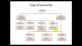 Lecture 1 Introduction to Parasitology [upl. by Airtina]