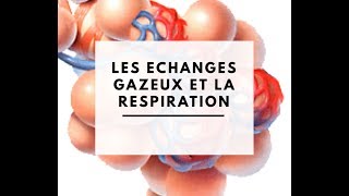 Les échanges gazeux et la respiration [upl. by Puna413]