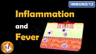 INFLAMMATION Part 9 Chronic Inflammation  GRANULOMATOUS INFLAMMATION [upl. by Oglesby]