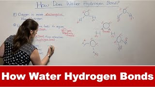 How Water Forms Hydrogen Bonds [upl. by Stiles]