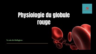 métabolisme du globule rouge [upl. by Akeret]