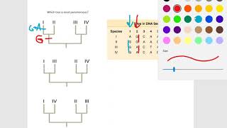 Find the most parsimonious tree [upl. by Gothar]