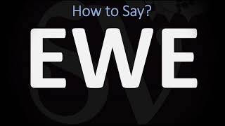 How to Pronounce Ewe CORRECTLY [upl. by Ontine378]