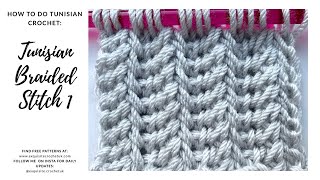 Tunisian Crochet 101 Tunisian Braided Stitch 1 [upl. by Winters493]