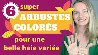 6 super arbustes COLORÉS pour une belle HAIE VARIÉE [upl. by Cuthbert]