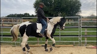 Texas Cowboy Tries Dressage [upl. by Monney]