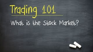 Trading 101 What is the Stock Market [upl. by Shelman]