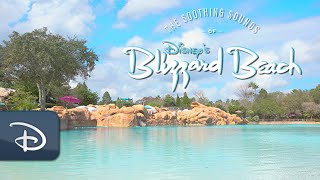 Experience the Soothing Sounds of Disney’s Blizzard Beach  Walt Disney World Resort [upl. by Noirad]