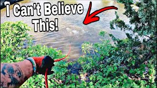 Most Unbelievable Magnet Fishing Catch  BIGGEST EVER [upl. by Anelrihs303]