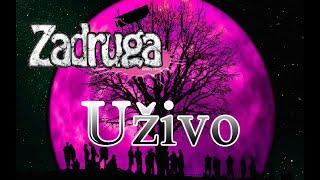 zadruga 5 uzivo [upl. by Zanahs632]