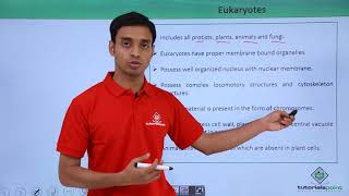 Class 11th  Eukaryotes – Introduction  Cell The unit of Life  Tutorials Point [upl. by Holloway]