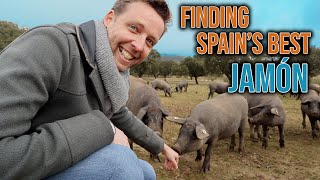 Where Does Spains Best Jamón Come From [upl. by Yelak]