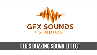 Flies Buzzing Sound Effect [upl. by Ahsatan]