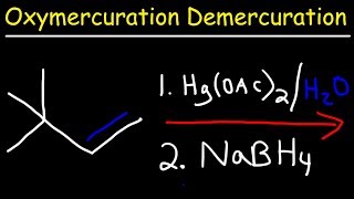 Oxymercuration Demercuration Reaction Mechanism [upl. by Berna]