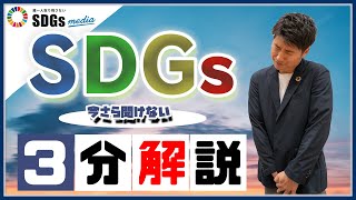 ビジネスパーソンがいまさら聞けない「SDGs」とは？3分解説 [upl. by Leihcim]