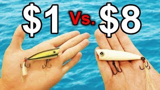 CHEAP Popper Vs EXPENSIVE Popper  Fishing Challenge [upl. by Flem]