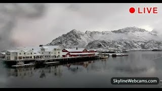 Amazing live webcam from the Lofoten Islands  Norway [upl. by Nidla]