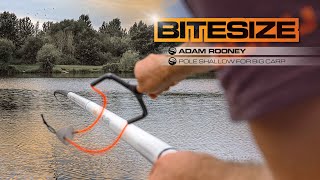 Shallow For Fishing for Carp  Pole Fishing  Guru Bitesize 027 [upl. by Eurd379]