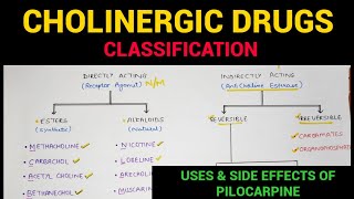 Autonomic Pharmacology  4  Cholinergic Drugs Classification  EOMS [upl. by Hadeis381]