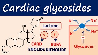 Cardiac glycosides in easy way  Digoxin digitoxin [upl. by Catt796]