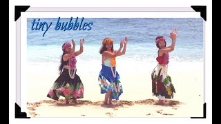 Tiny Bubbles Hawaiian Dance [upl. by Beitz]