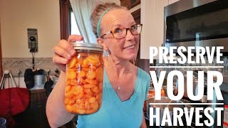 My Top 4 Ways  Preserving Carrot Harvest [upl. by Bubb]