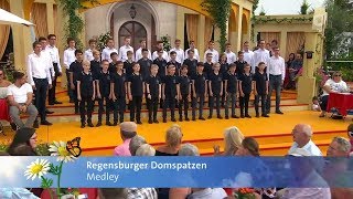 Die Regensburger Domspatzen singen ein quotVolksliederMedleyquot  quotImmer wieder sonntagsquot am 22072019 [upl. by Gamber318]