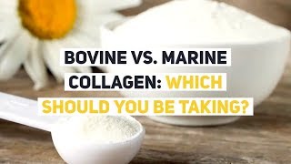 Bovine vs Marine Collagen Which Should YOU be Taking [upl. by Sudbury]