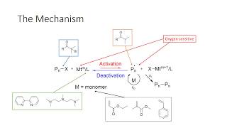 Atom transfer radical polymerization ATRP [upl. by Pressey]