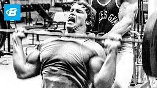 Arnold Schwarzenegger Motivation  Blueprint Training Program [upl. by Aicnetroh]