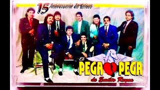 El pega pega 15 exitos Regrabados vol 1 CD completo [upl. by Sral]