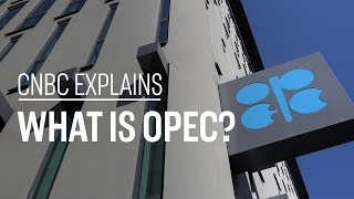 What is OPEC  CNBC Explains [upl. by Atrebor]