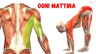 6 esercizi stretching da fare tutti i giorni [upl. by Natloz123]