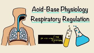 Acid Base Physiology  Part Two  Respiratory Regulation  Respiratory Physiology [upl. by Novello]