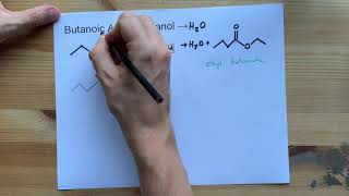 Butanoic Acid  Ethanol  Ester Reaction with Mechanism [upl. by Namlas]