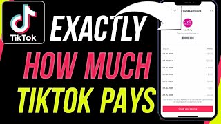 How Much TikTok Paid Me For 1000000 Views [upl. by Stulin]