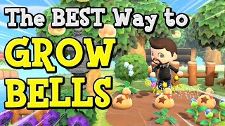 GROWING BELLS  The BEST Way  ACNH Tutorial [upl. by Rothwell]