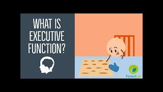 What is Executive Function [upl. by Brade530]