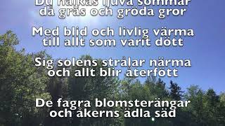 Den blomstertid nu kommer text [upl. by Otto]