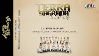 Eres Mi Sueño  Banda Tierra Sagrada Audio Oficial [upl. by Alesiram962]