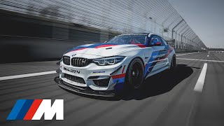 BMW M4 GT4 training an adventure on the tarmac [upl. by Notecnirp]