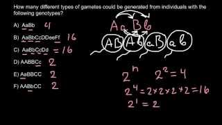 Gametes and genotypes simple formula for exam [upl. by Esdras]