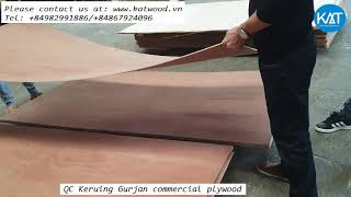 Vietnam Plywood Katwood  6mm QC Keruing gurjan Commercial Plywood [upl. by Skye]